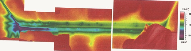 Paulina Lewińska, termowizja, ocena stanu technicznego, termogram